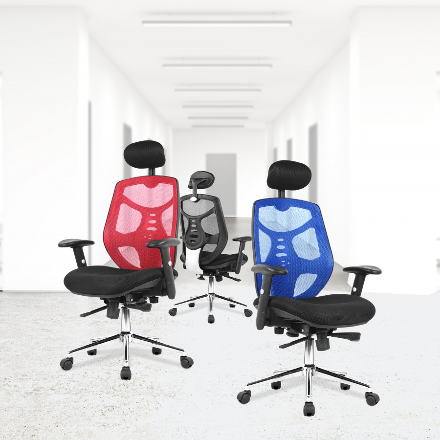 Polaris Mesh Executive Office Chair